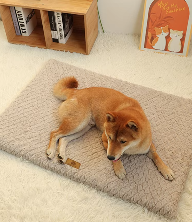 Orthopädisches Hundebett, flauschige Matte, kuscheliger Plüsch, lindert Gelenkschmerzen, perfekt für ältere Haustiere.