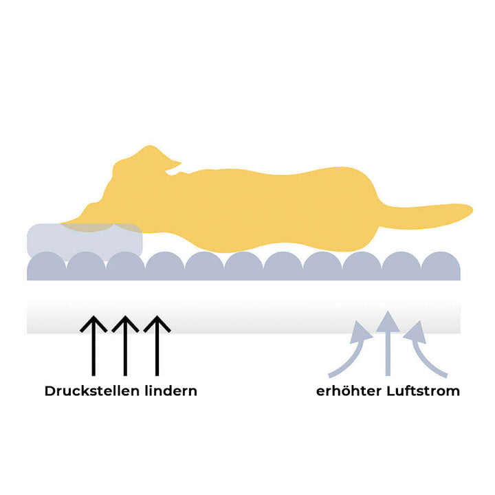 Orthopädisches XXL Hundesofa mit Schachbrettmuster, extragroß und waschbar, ideal für Komfort und Stil.