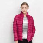 Fuchsia