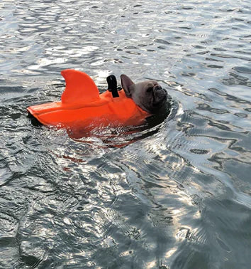 "Schwimmweste für Hunde mit verstellbaren Gurten und stilvoller Hai-Flosse für maximale Sicherheit und Spaß im Wasser."