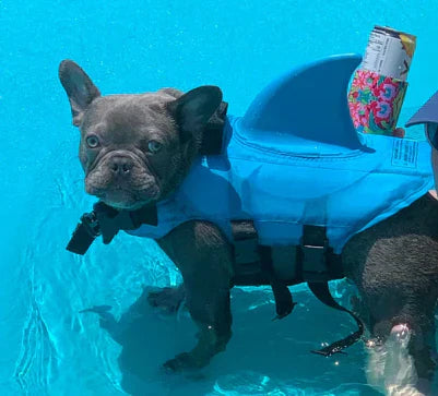 "Schwimmweste für Hunde mit verstellbaren Gurten und stilvoller Hai-Flosse für maximale Sicherheit und Spaß im Wasser."