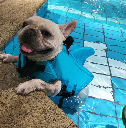 "Schwimmweste für Hunde mit verstellbaren Gurten und stilvoller Hai-Flosse für maximale Sicherheit und Spaß im Wasser."