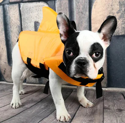 "Schwimmweste für Hunde mit verstellbaren Gurten und stilvoller Hai-Flosse für maximale Sicherheit und Spaß im Wasser."
