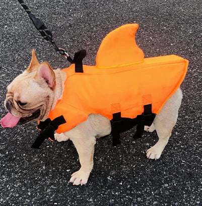 "Schwimmweste für Hunde mit verstellbaren Gurten und stilvoller Hai-Flosse für maximale Sicherheit und Spaß im Wasser."