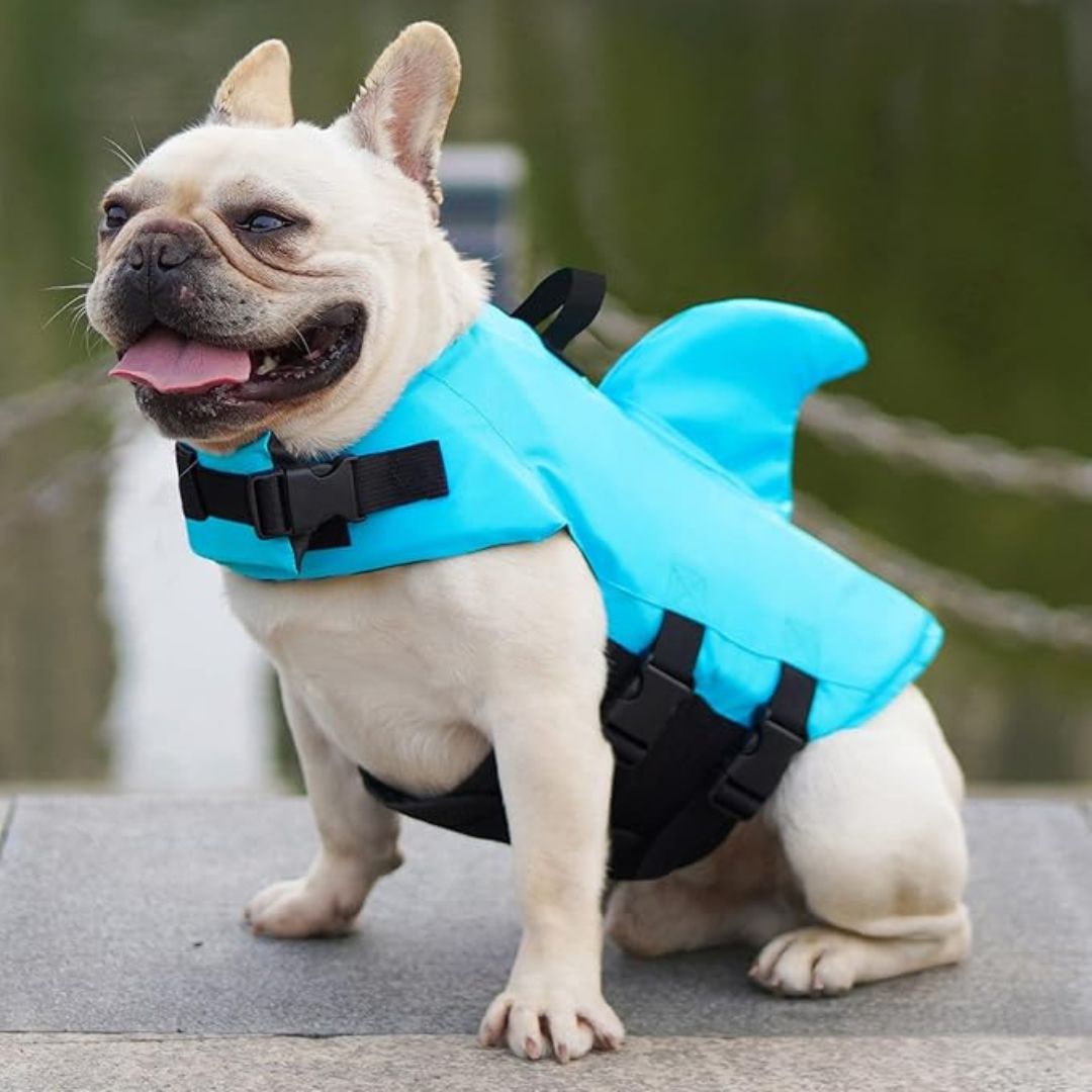 "Schwimmweste für Hunde mit verstellbaren Gurten und stilvoller Hai-Flosse für maximale Sicherheit und Spaß im Wasser."