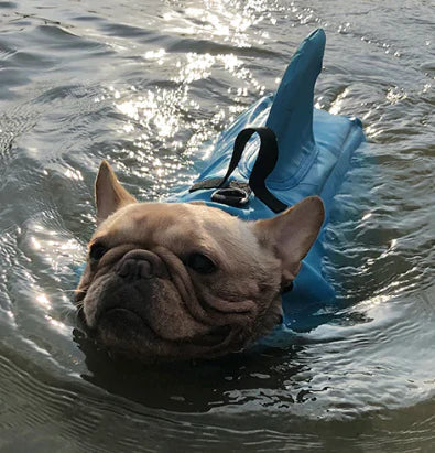 "Schwimmweste für Hunde mit verstellbaren Gurten und stilvoller Hai-Flosse für maximale Sicherheit und Spaß im Wasser."