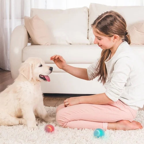 "Selbstbeweglicher, wiederaufladbarer Power Ball für Katzen und Hunde, Aqua Grün, interaktives Haustierspielzeug."