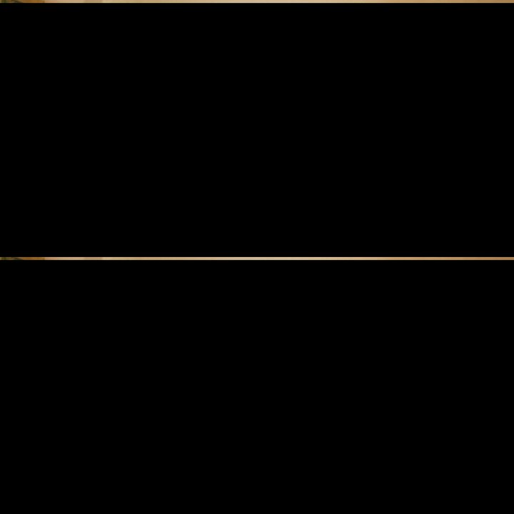 "Sommer Jumpsuit Damen Frontansicht, ärmellos, lockere Passform, vielseitig, modern, bequem für jeden Anlass"