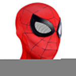 Rot/Schwarz (Peter Parker)