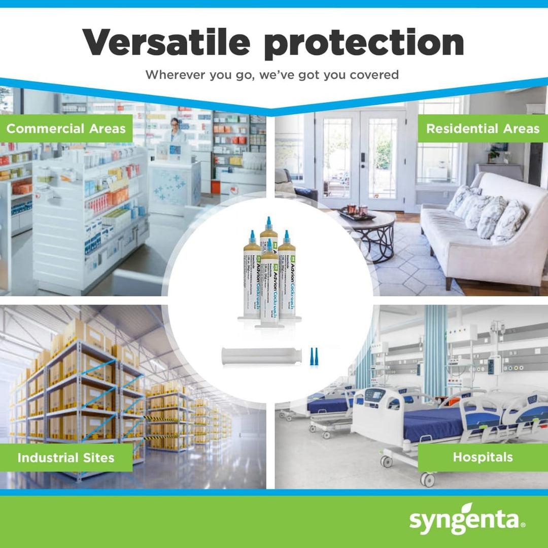 Ungiftiger Kakerlaken-Gelköder gegen Schaben, sicher für zu Hause, mit wirksamer Köderformulierung und leichter Anwendung.