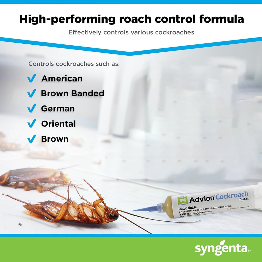 Ungiftiger Kakerlaken-Gelköder gegen Schaben, sicher für zu Hause, mit wirksamer Köderformulierung und leichter Anwendung.