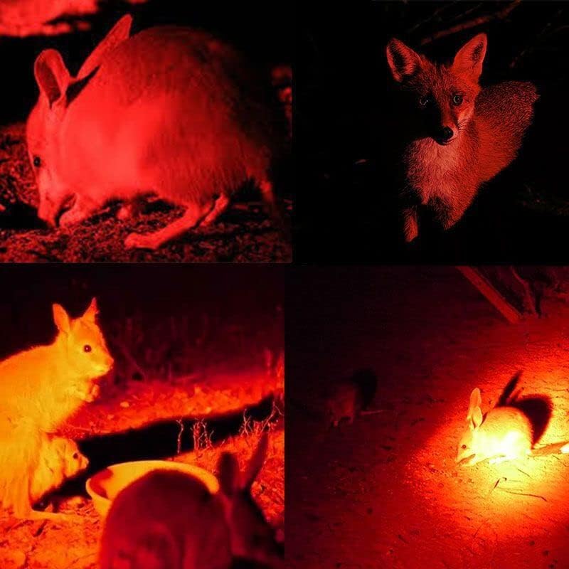 "Wiederaufladbare LED Stirnlampe mit weißem, rotem und grünem Licht, ideal für Outdoor-Abenteuer."