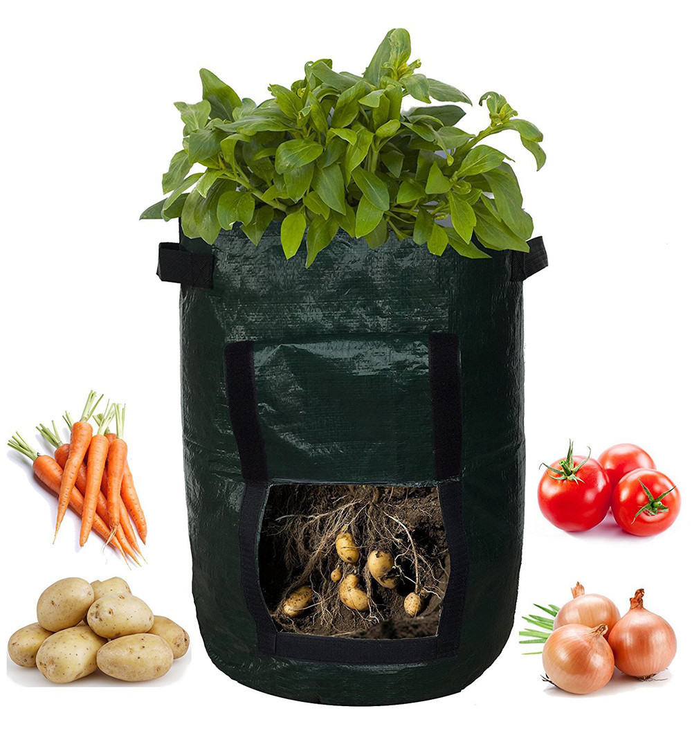 "Wiederverwendbarer Pflanzsack mit Sichtfenster, beladen mit Kartoffeln, seitliche Ansicht, ideal für Gartennutzung"