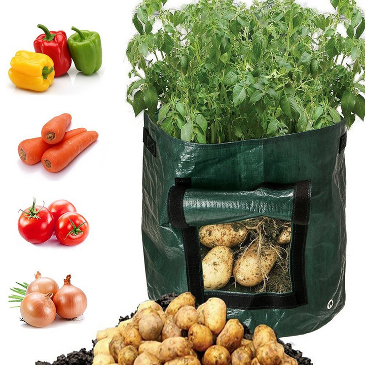 "Wiederverwendbarer Pflanzsack mit Sichtfenster, beladen mit Kartoffeln, seitliche Ansicht, ideal für Gartennutzung"
