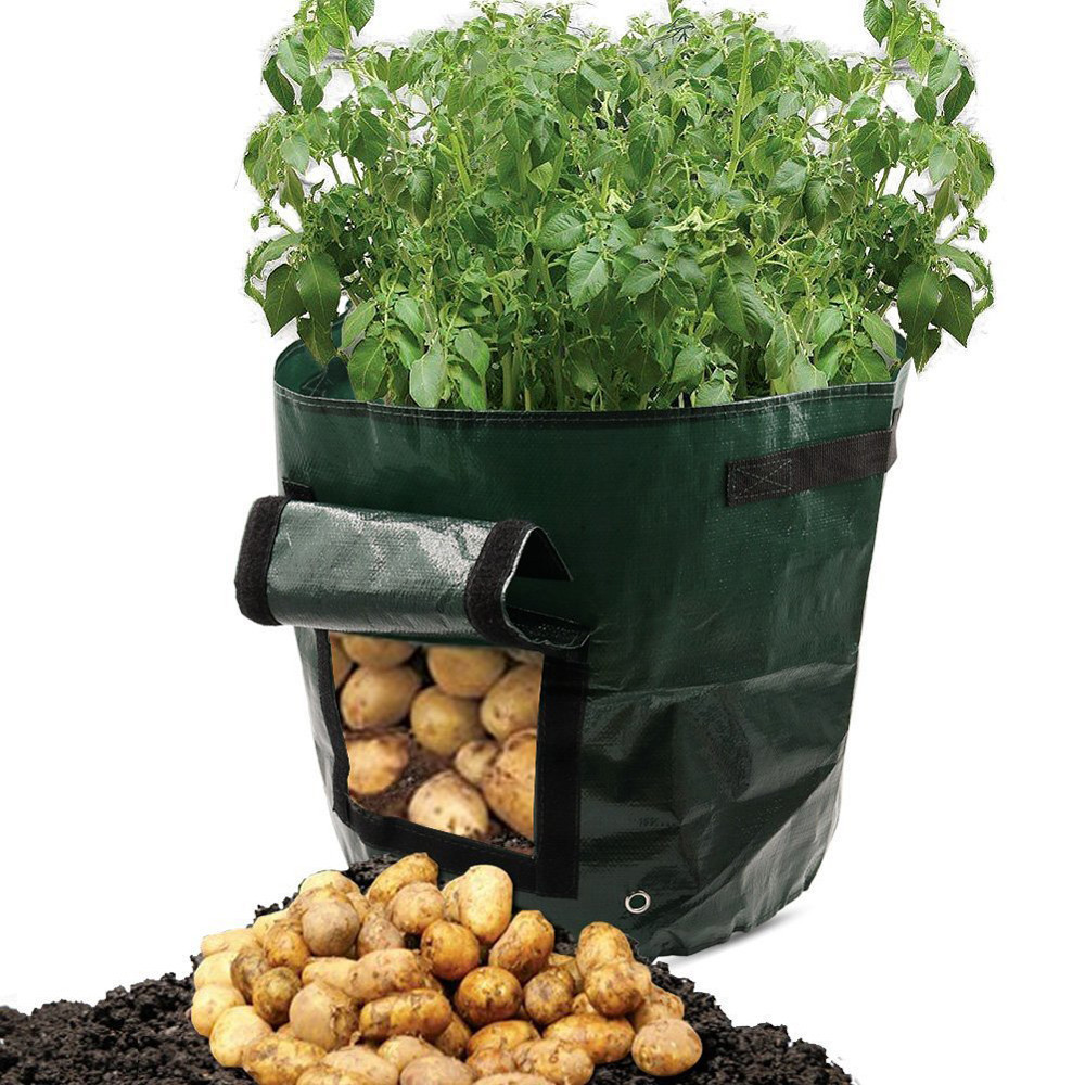 "Wiederverwendbarer Pflanzsack mit Sichtfenster, beladen mit Kartoffeln, seitliche Ansicht, ideal für Gartennutzung"