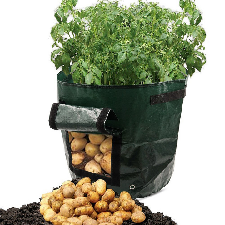 "Wiederverwendbarer Pflanzsack mit Sichtfenster, beladen mit Kartoffeln, seitliche Ansicht, ideal für Gartennutzung"